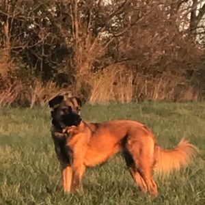 Meet your Posher, Kathy